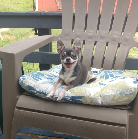 Meet your Posher, Regena - Picture 6 of 16